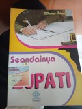 Seandainya Aku Bupati